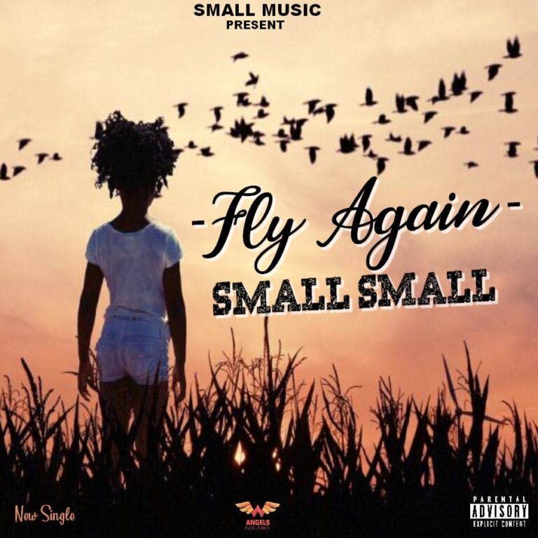 Small Small – Fly Again