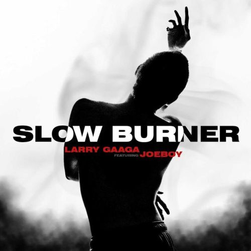 Larry-Gaaga – Slow Burner ft. Joeboy