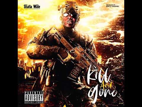 Shatta wale – Kill and Gone