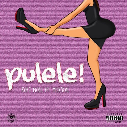 Kofi Mole ft. Medikal - Pulele