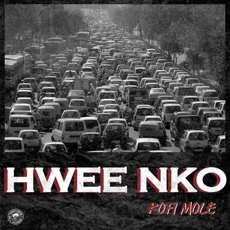 Kofi Mole – Hwee Nko