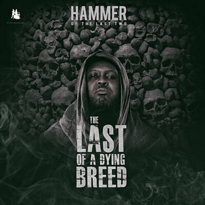 Hammer of The Last Two – 4 Decades (feat. Nana Asaase)