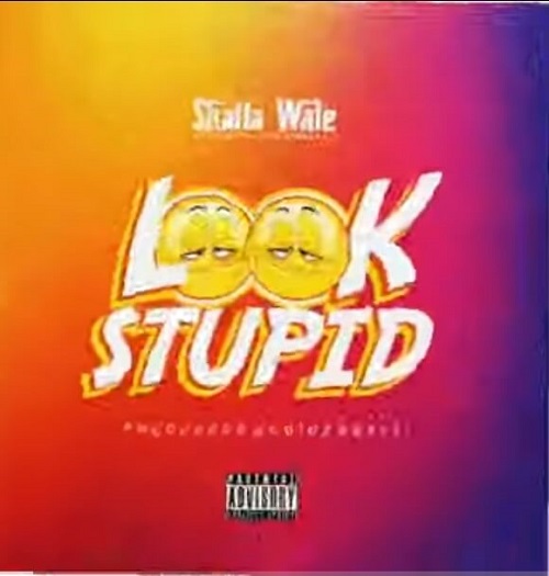Shatta Wale – Look Stupid