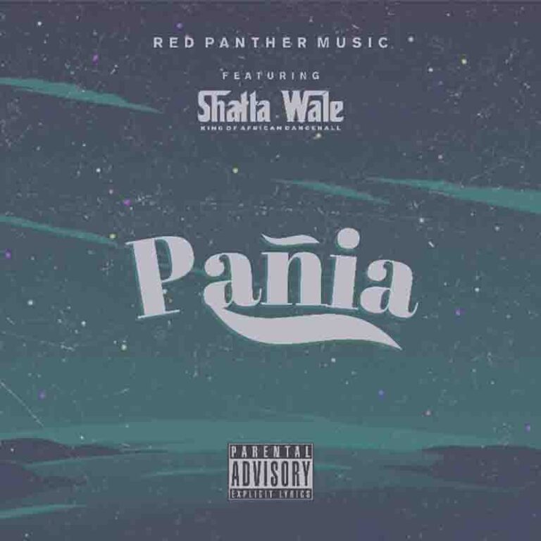 Shatta Wale – Panai