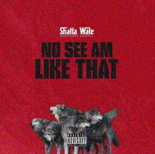 Download No see am Like that by Shatta Wale
