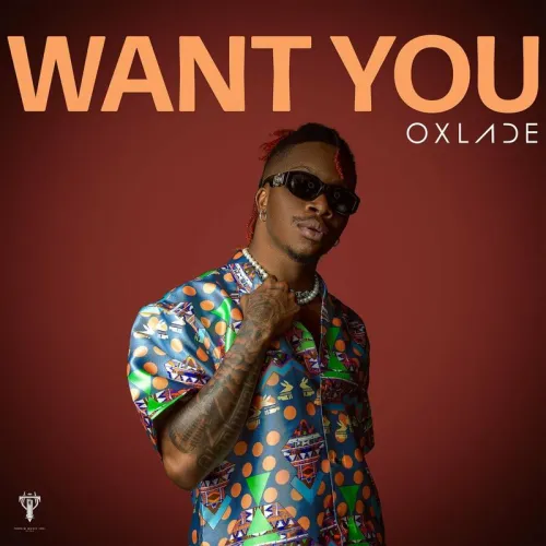 Download Want You by Oxlade