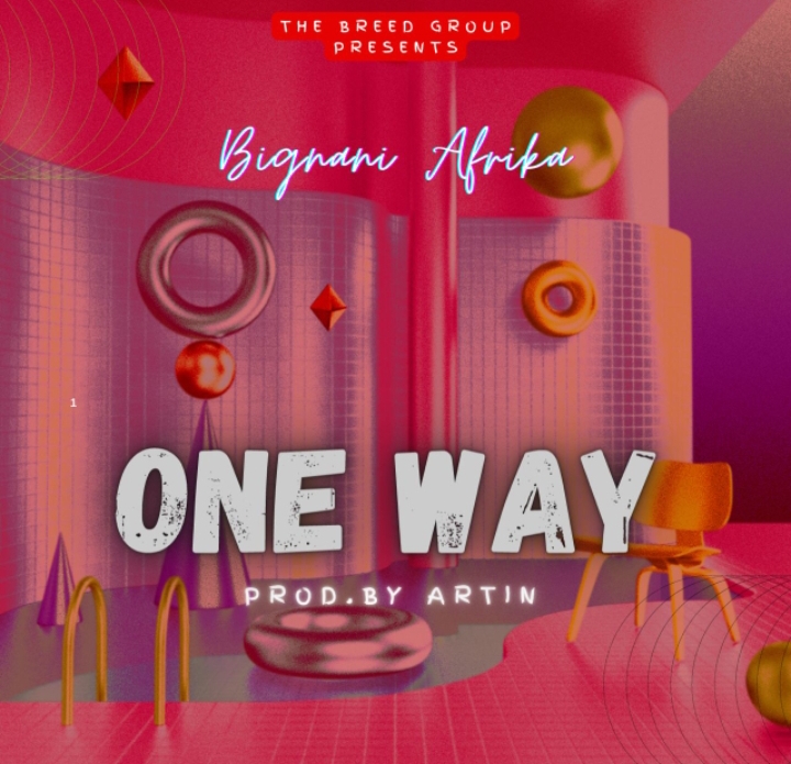 Download Bignani Afrika One Way