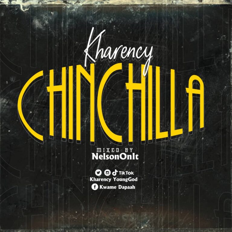 Chinchilla by Kharency