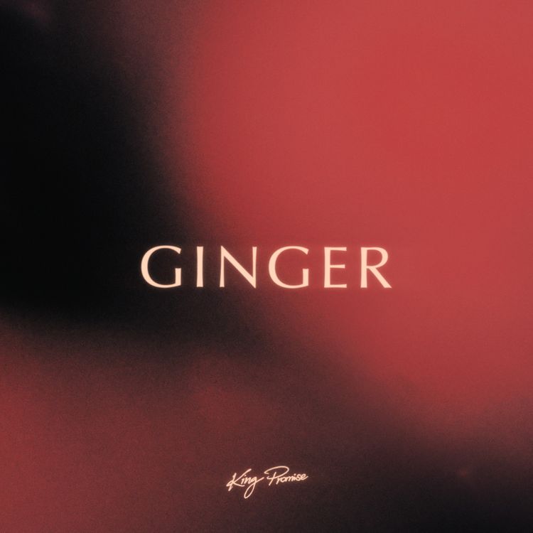Ginger by King Promise [Full Mp3 Audio]