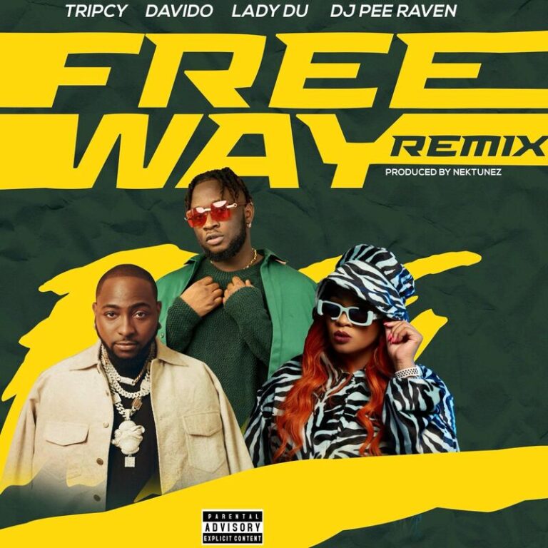 Freeway Remix by Tripcy Ft Davido, Lady Du & DJ Pee Raven