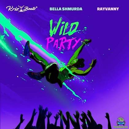 Krizbeatz wild party ft Rayvanny & Bella shmurda