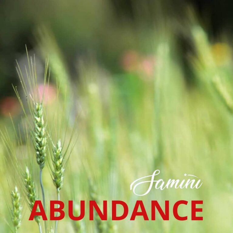 Download Music:Samini – Abundance(New Song)