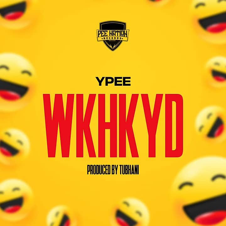 Download Mp3:Ypee – WKHKYD (New Song)