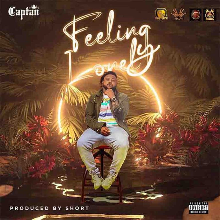 Download Mp3:Captan Feeling Lonely