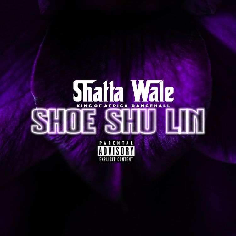 Shatta Wale -Shoe Shu Lin
