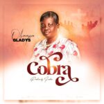 Download Obaapa Gladys-Nipa Ye Cobra-Ghflamez-com-mp3-image