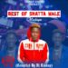 Best of Shatta Wale Mixtape